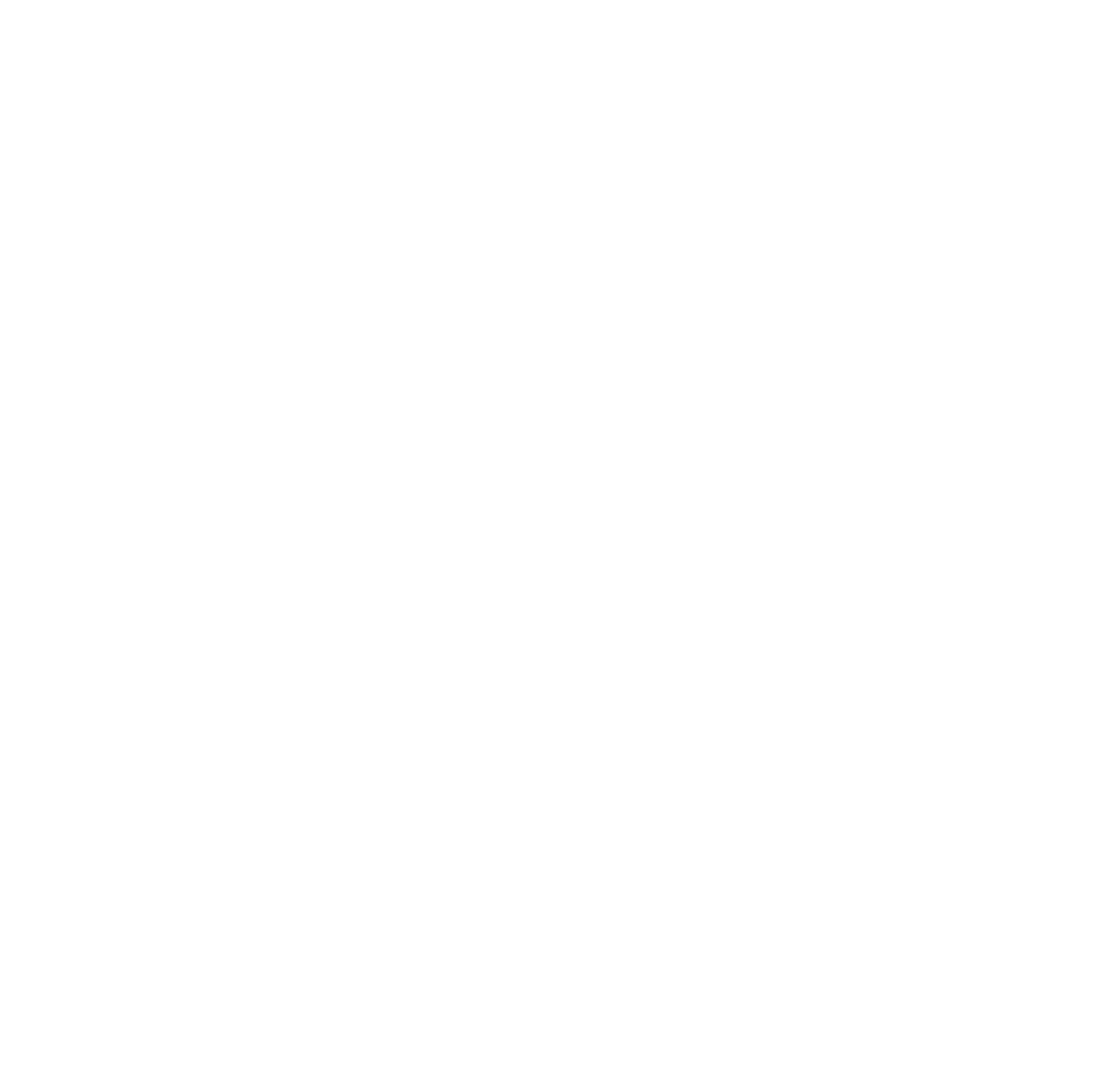 videoBtn